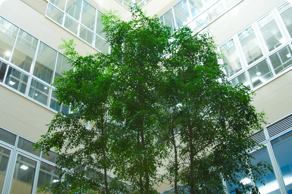 沿革