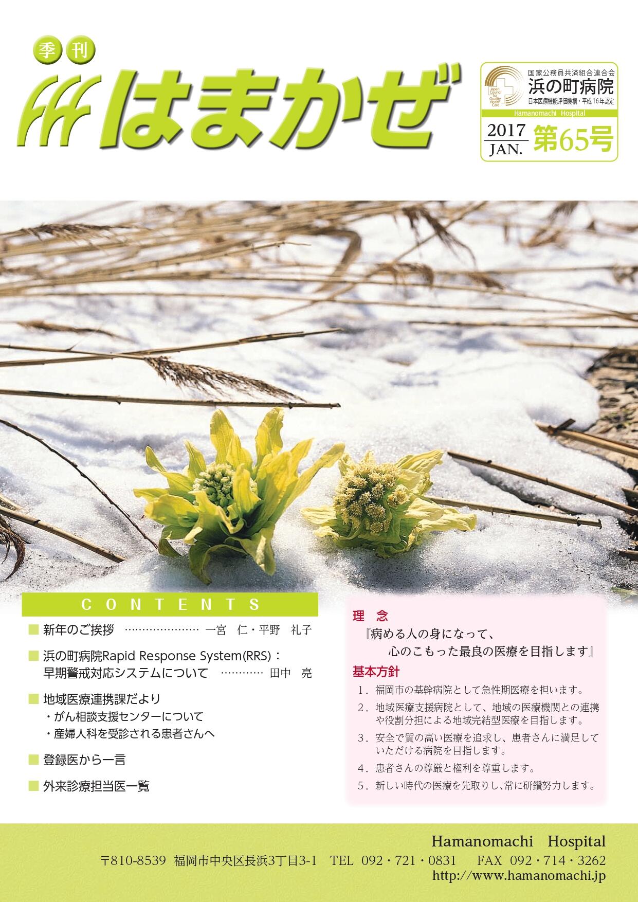 2017年第65号の表紙
